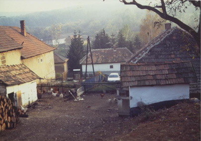Mrs Demeters home and yard were typical of others in Faj. In addition to the 2-room house the property included a storage shed, a pig pen, and an outhouse. The car pictured in the photo was our rental. The only other car we encountered in the village was that of a constable who stopped us, and then escorted us to Mrs Demeters home. Courtesy D. Gonthier, taken 1989