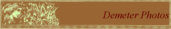 Demeter Photos