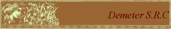Demeter S.R.C